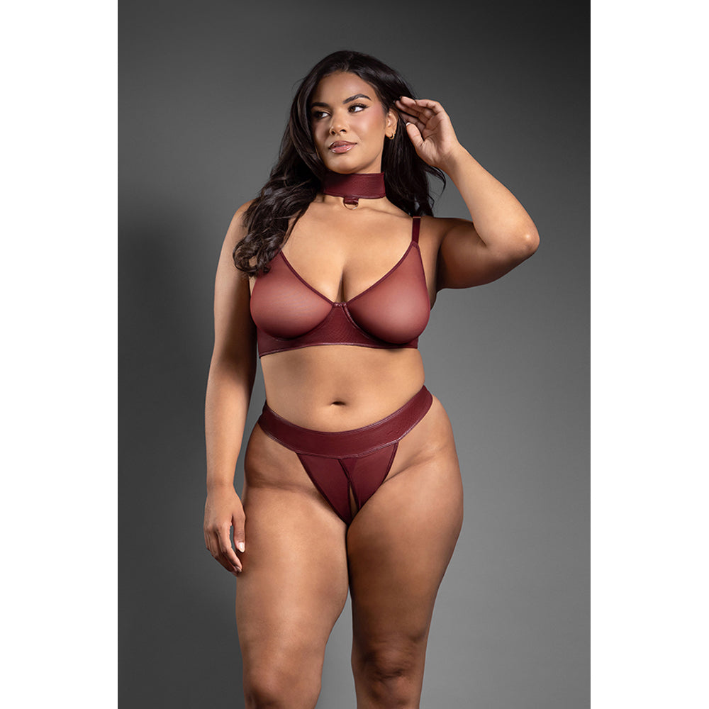 Convertible Bra, Panty & Leash Queen Size | 657447320835 | Available at EroticWarehouse.com