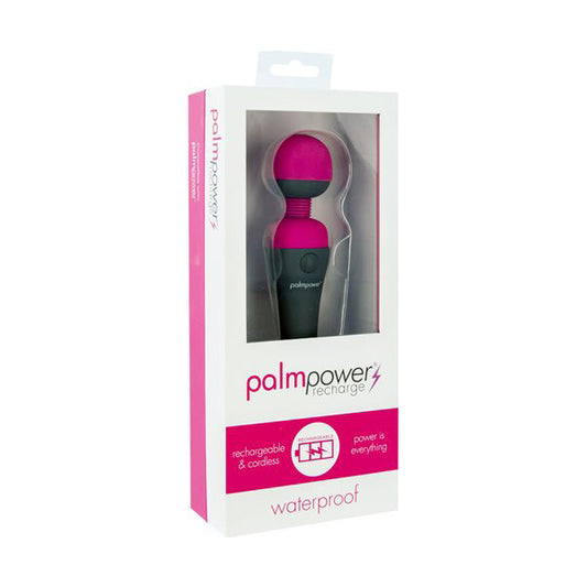 Palmpower Recharge Waterproof | 677613306289 | Available at EroticWarehouse.com