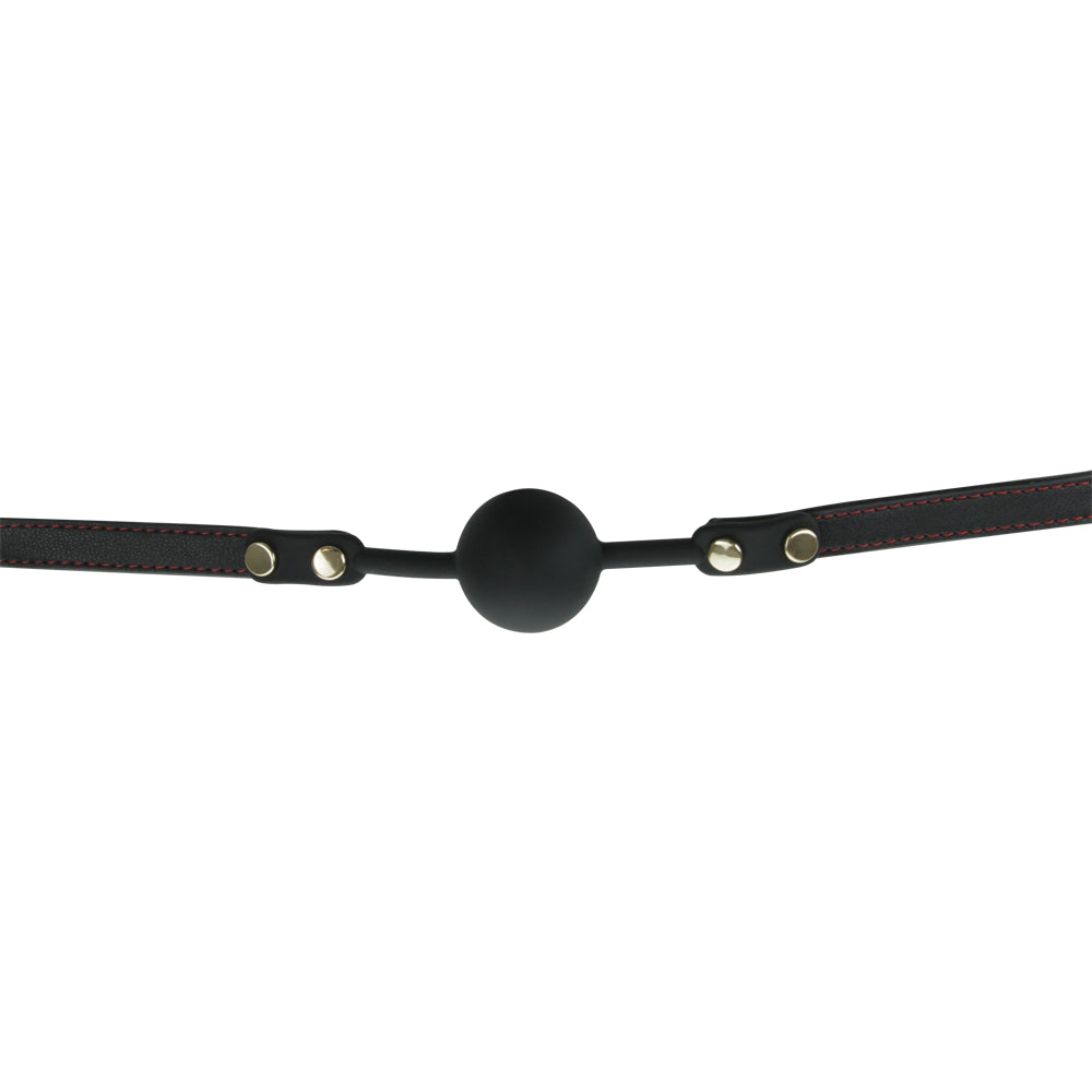 Ball Gag Black | 716715771653 | Available at EroticWarehouse.com