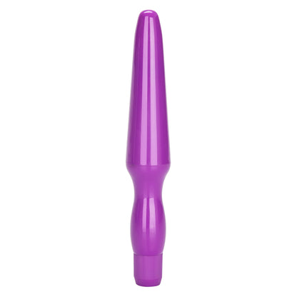 Vibrating Waterproof Anal Probe Purple | 716770030399 | Available at EroticWarehouse.com