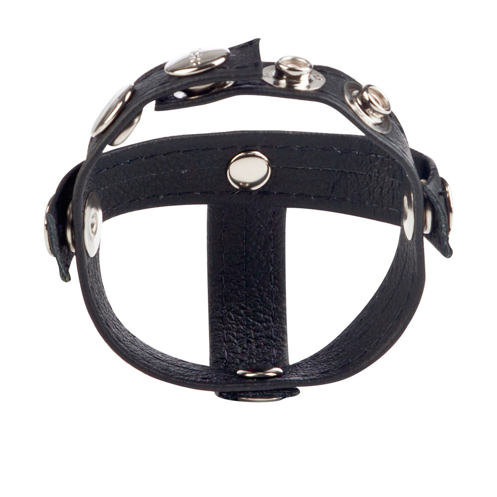 Colt Leather C/B Strap H-Piece Divider Black | 716770051332 | Available at EroticWarehouse.com