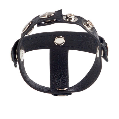 Colt Leather C/B Strap H-Piece Divider Black | 716770051332 | Available at EroticWarehouse.com
