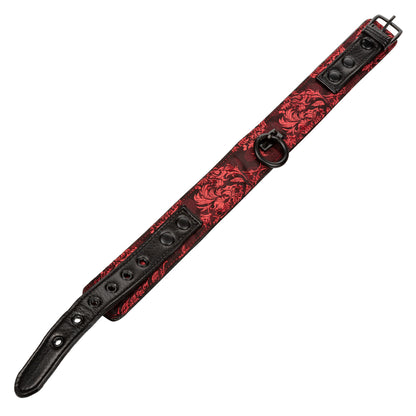 Scandal Collar With Leash Red | 716770077042 | Available at EroticWarehouse.com