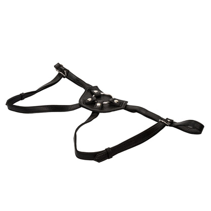 Her Royal Harness The Countess | 716770090317 | Available at EroticWarehouse.com