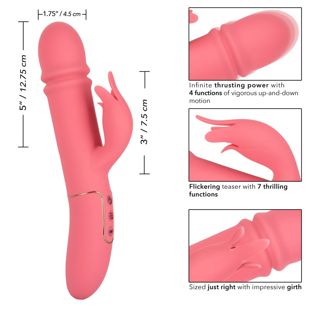 Shameless Tease | 716770093844 | Available at EroticWarehouse.com