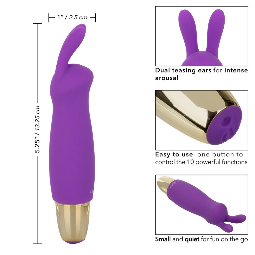 Slay #Buzzme | 716770098474 | Available at EroticWarehouse.com