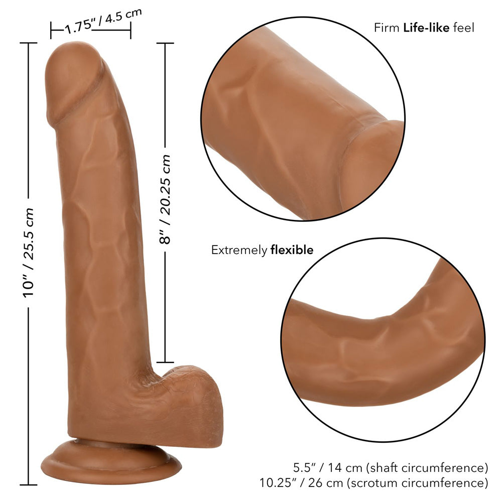 Size Queen 8" Brown | 716770098658 | Available at EroticWarehouse.com