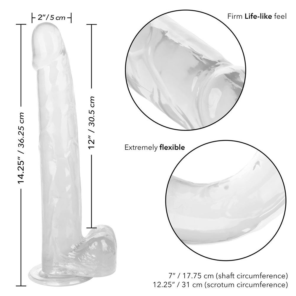 Size Queen 12" Clear | 716770098696 | Available at EroticWarehouse.com