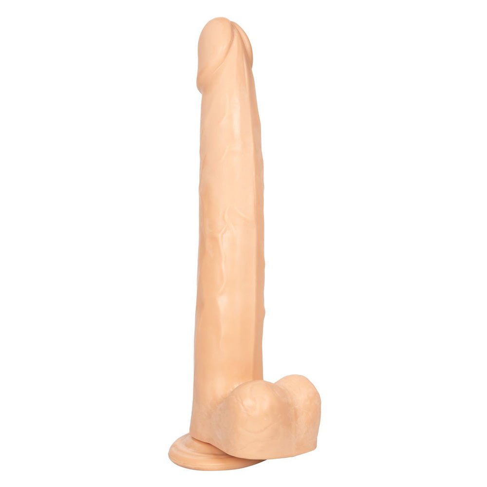 Size Queen 12" Ivory | 716770098702 | Available at EroticWarehouse.com