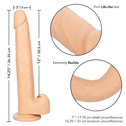 Size Queen 12" Ivory | 716770098702 | Available at EroticWarehouse.com
