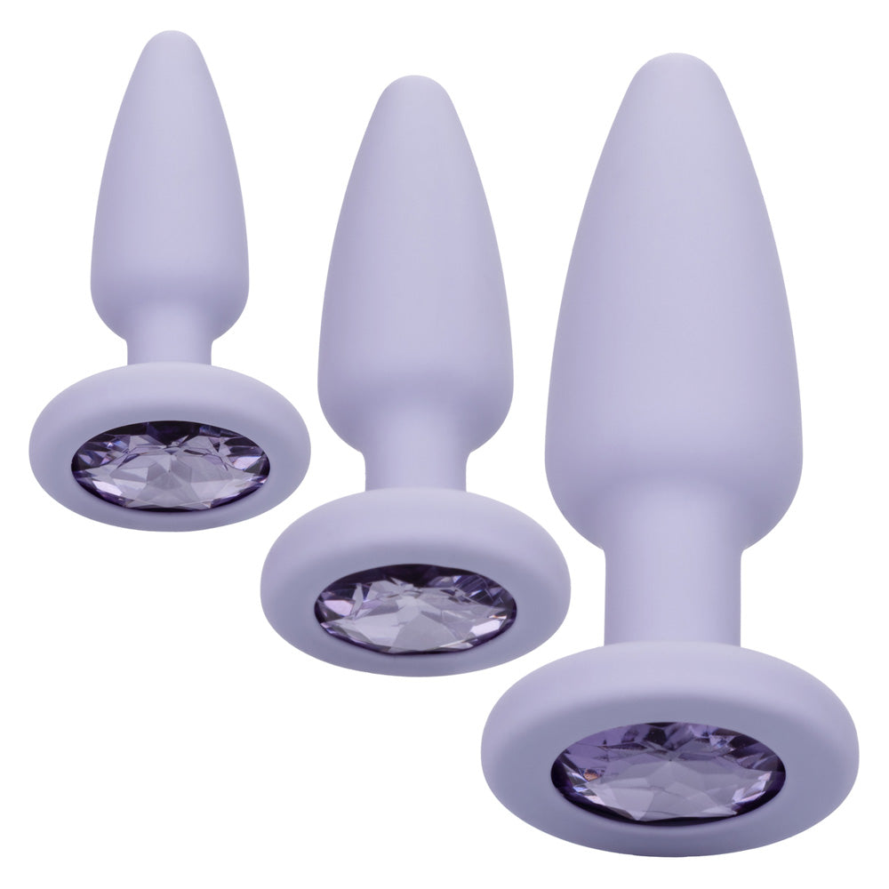 First Time Crystal Booty Kit Purple | 716770101174 | Available at EroticWarehouse.com