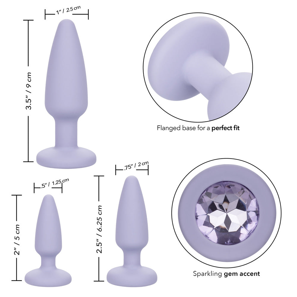 First Time Crystal Booty Kit Purple | 716770101174 | Available at EroticWarehouse.com