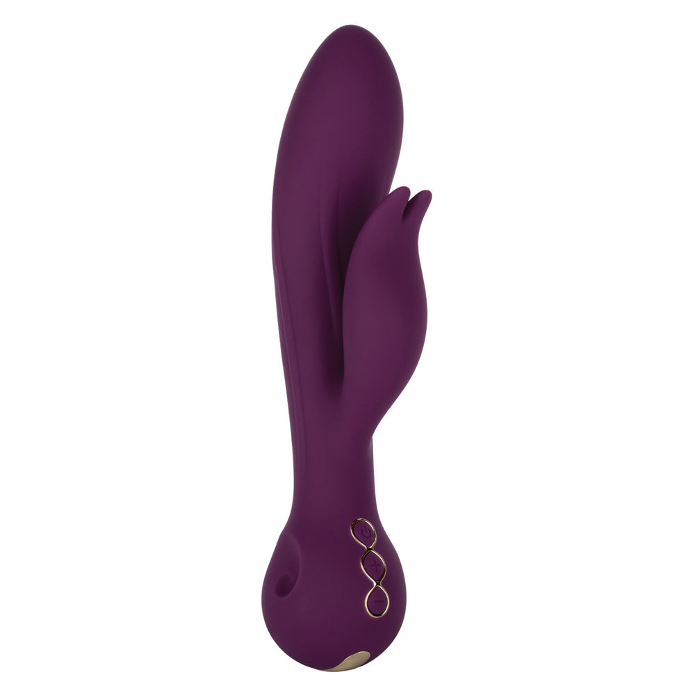 Obsession Desire | 716770102102 | Available at EroticWarehouse.com