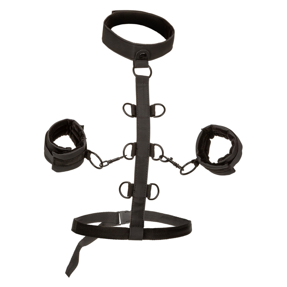 Boundless Collar Body Restraint | 716770104090 | Available at EroticWarehouse.com