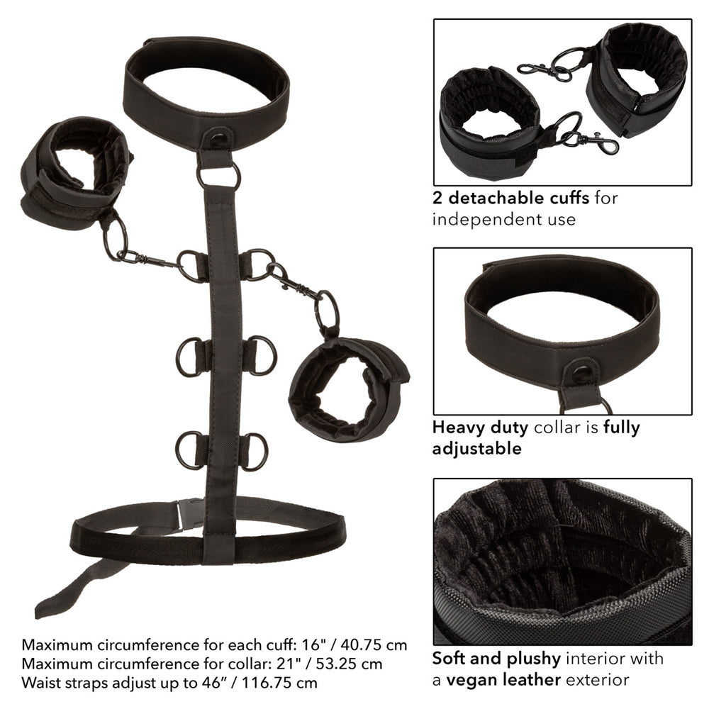 Boundless Collar Body Restraint | 716770104090 | Available at EroticWarehouse.com