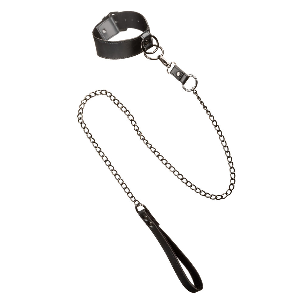Euphoria Collection Collar With Chain Leash | 716770105349 | Available at EroticWarehouse.com