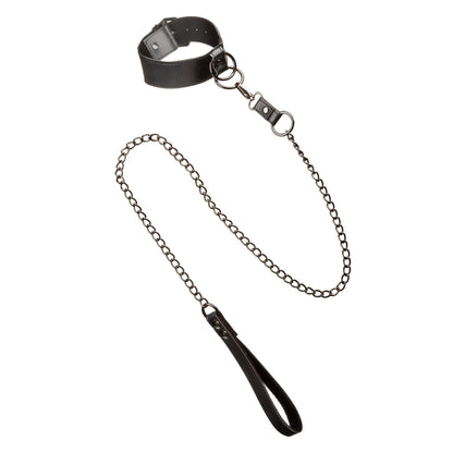 Euphoria Collection Collar With Chain Leash | 716770105349 | Available at EroticWarehouse.com