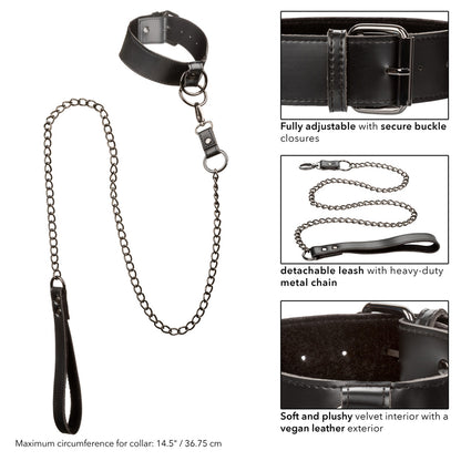 Euphoria Collection Collar With Chain Leash | 716770105349 | Available at EroticWarehouse.com