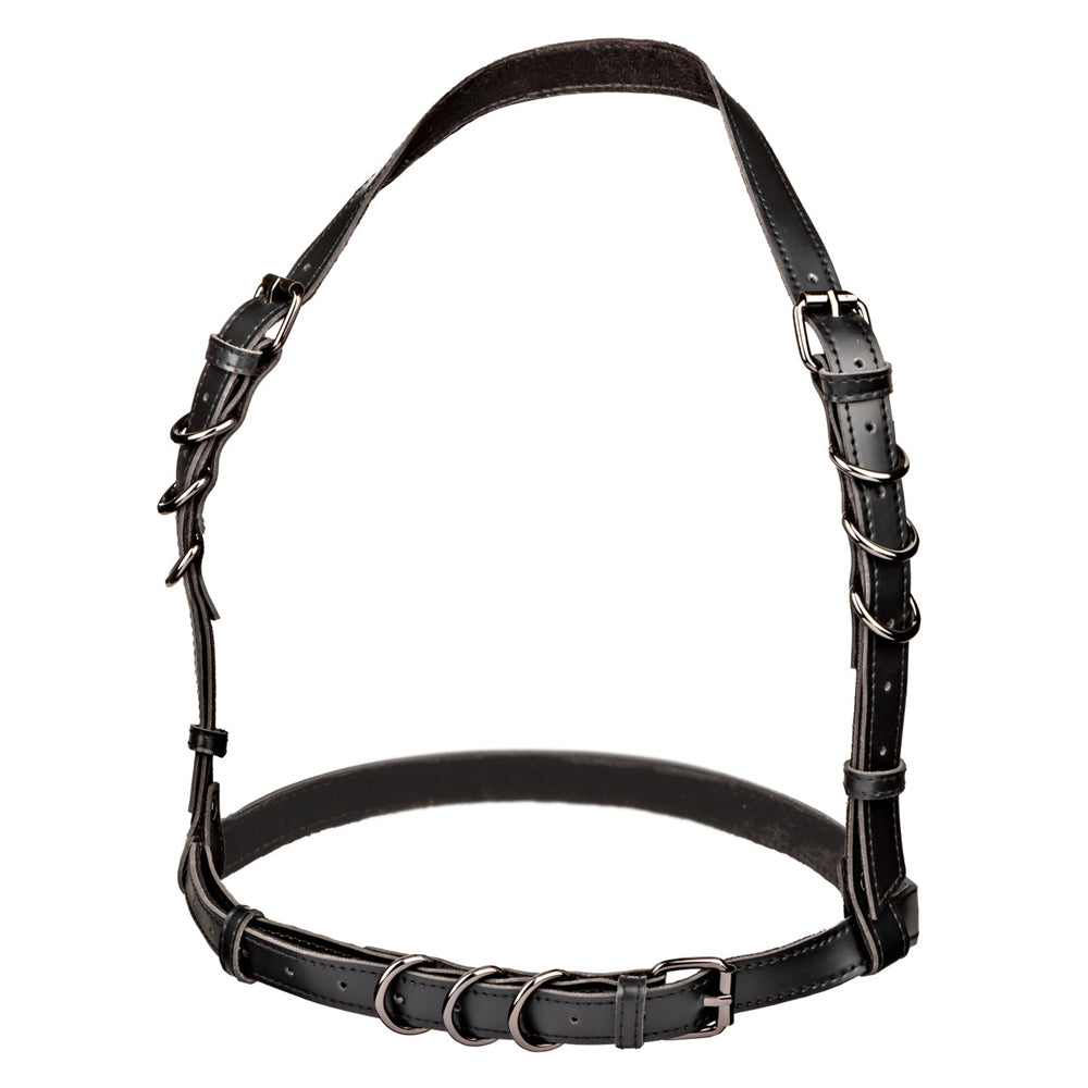 Euphoria Collection Plus Size Halter Buckle Harness | 716770105394 | Available at EroticWarehouse.com