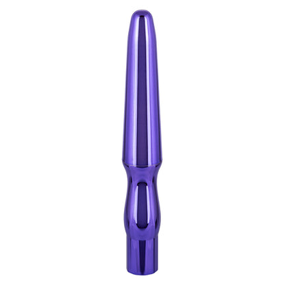 Rechargeable Anal Probe Metallic Purple | 716770106223 | Available at EroticWarehouse.com