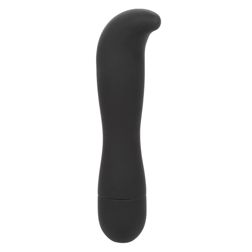 Dr. Joel Kaplan Rechargeable Prostate Probe | 716770107039 | Available at EroticWarehouse.com