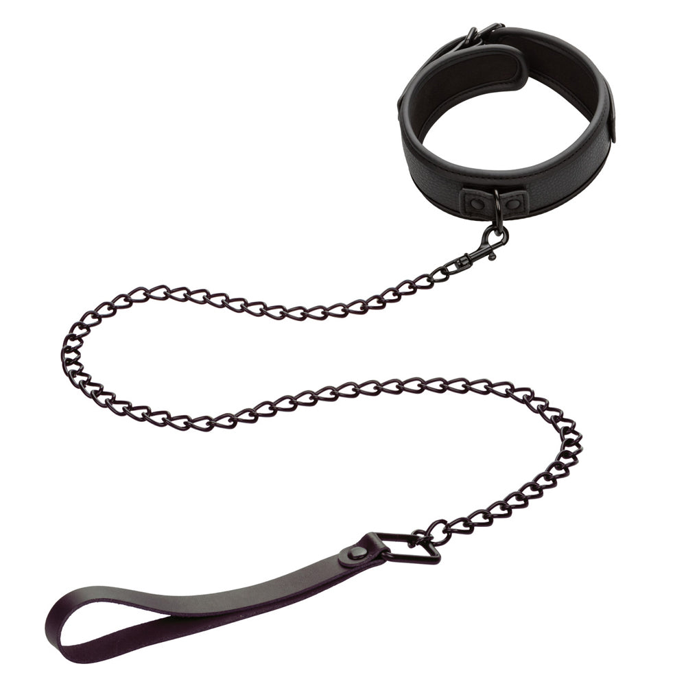 Nocturnal Collection Collar & Leash | 716770108418 | Available at EroticWarehouse.com
