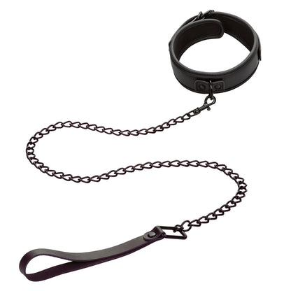 Nocturnal Collection Collar & Leash | 716770108418 | Available at EroticWarehouse.com