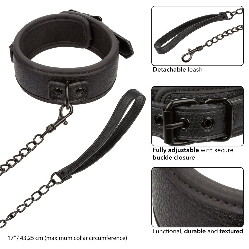 Nocturnal Collection Collar & Leash | 716770108418 | Available at EroticWarehouse.com