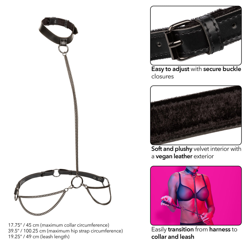 Euphoria Collection Chain Halter/Collar & Leash | 716770109347 | Available at EroticWarehouse.com