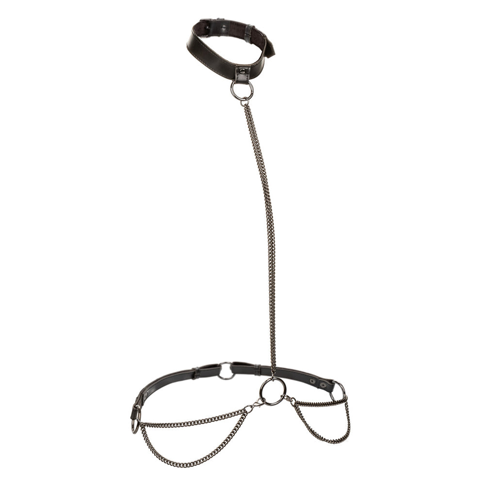 Euphoria Collection Plus Size Chain Halter/Collar & Leash | 716770109354 | Available at EroticWarehouse.com