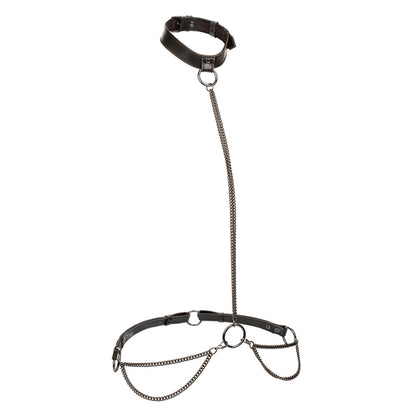 Euphoria Collection Plus Size Chain Halter/Collar & Leash | 716770109354 | Available at EroticWarehouse.com