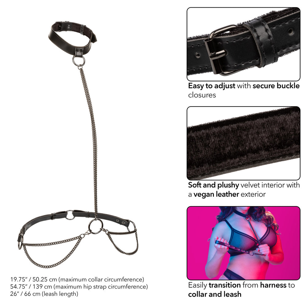Euphoria Collection Plus Size Chain Halter/Collar & Leash | 716770109354 | Available at EroticWarehouse.com