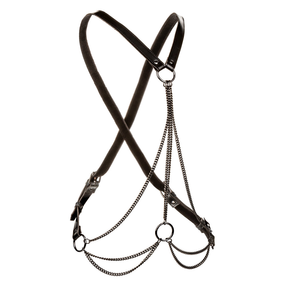 Euphoria Collection Multi Chain Harness | 716770109361 | Available at EroticWarehouse.com