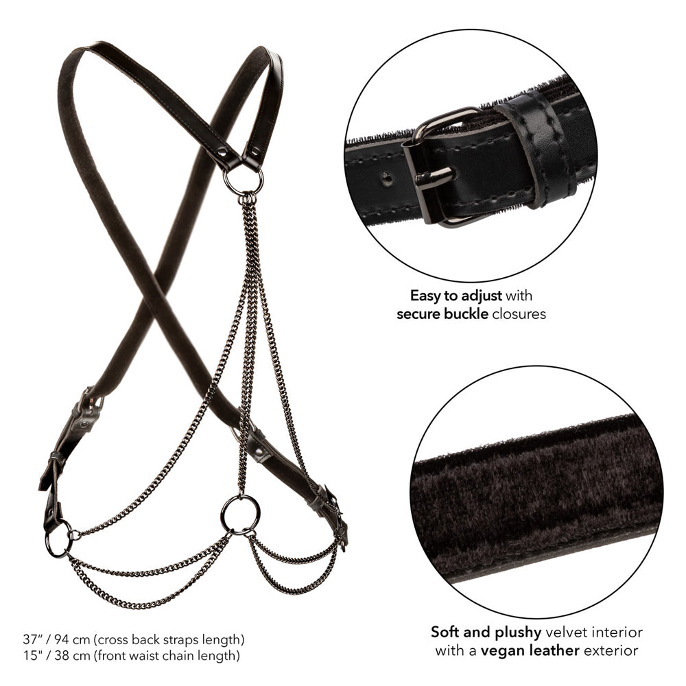 Euphoria Collection Multi Chain Harness | 716770109361 | Available at EroticWarehouse.com