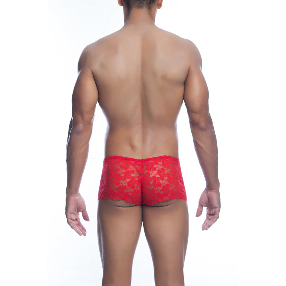 Rose Lace Boy Short Red L/Xl | 738435431037 | Available at EroticWarehouse.com