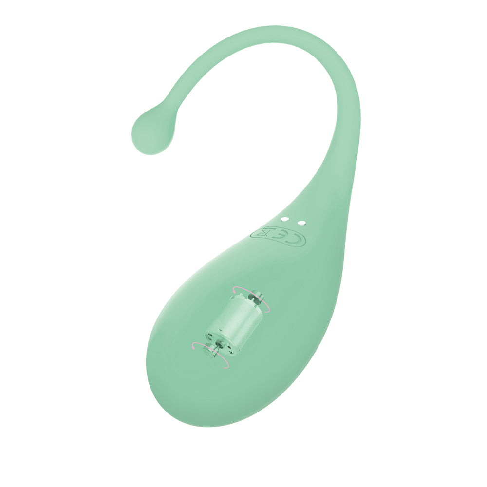 Adrien Lastic Palpitation App Control Vibrating Egg Stimulator Mint | 782421093723 | Available at EroticWarehouse.com