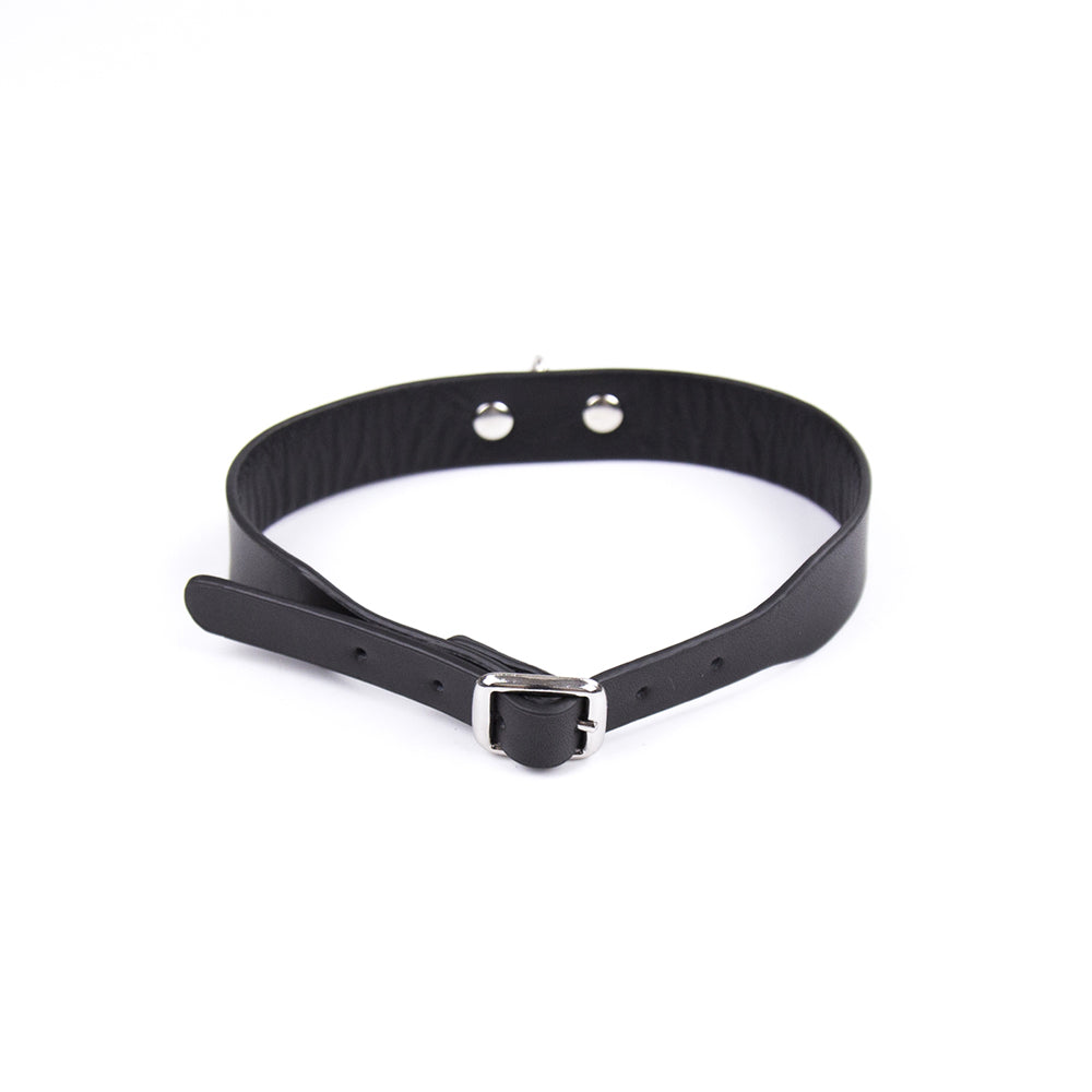 D Ring PVC Collar Black | 802991614156 | Available at EroticWarehouse.com
