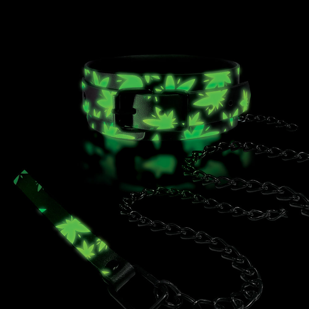 Stoner Vibes Chronic Collection Glow In The Dark Collar & Leash | 810126930187 | Available at EroticWarehouse.com