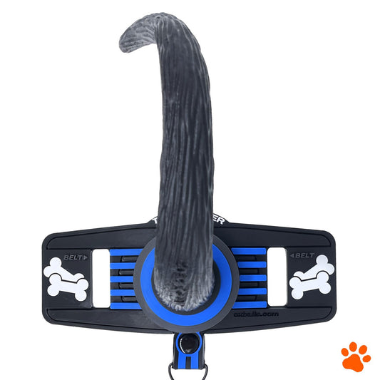 Tail Handler Belt-Strap Show Tail Blue | 840215120755 | Available at EroticWarehouse.com
