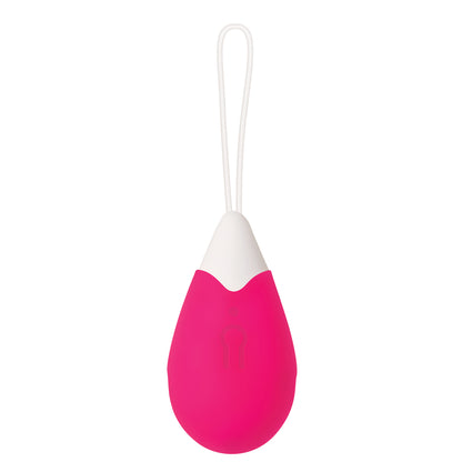 Rechargeable Remote Control Egg | 844477011271 | Available at EroticWarehouse.com
