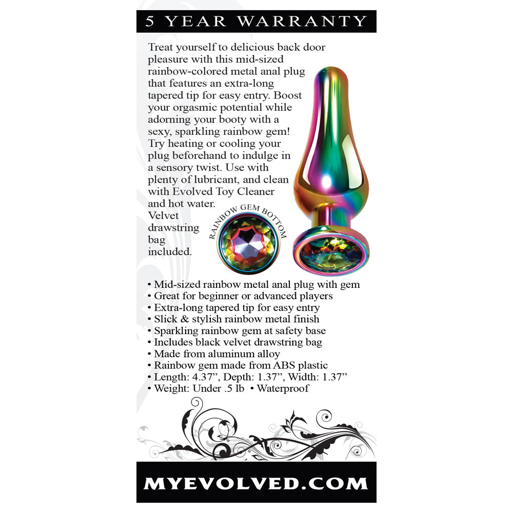 Rainbow Metal Plug Medium | 844477018553 | Available at EroticWarehouse.com