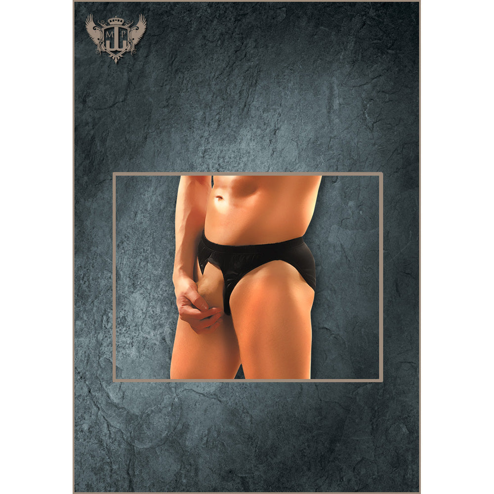 Nylon Spandex Pouchless Brief Black One Size | 845830041522 | Available at EroticWarehouse.com