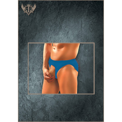 Nylon Spandex Pouchless Brief Royal One Size | 845830042017 | Available at EroticWarehouse.com