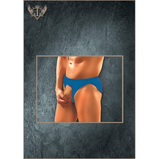 Nylon Spandex Pouchless Brief Royal One Size | 845830042017 | Available at EroticWarehouse.com