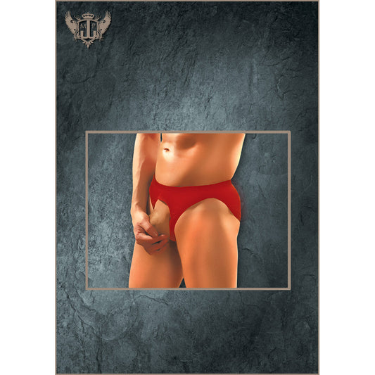 Nylon Spandex Pouchless Brief Red One Size | 845830044233 | Available at EroticWarehouse.com