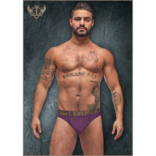 Avant-Garde Enhancer Thong Eggplant S/M | 845830080880 | Available at EroticWarehouse.com
