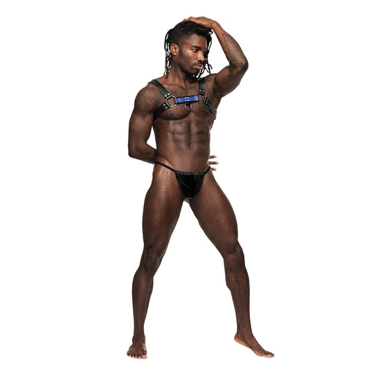 Aries Leather Harness | 845830087131 | Available at EroticWarehouse.com