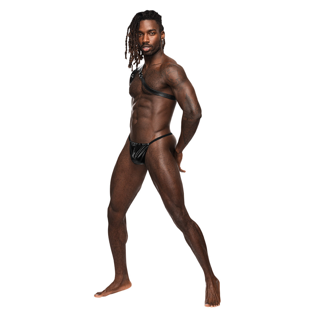 Zodiac Leather Harness | 845830087148 | Available at EroticWarehouse.com