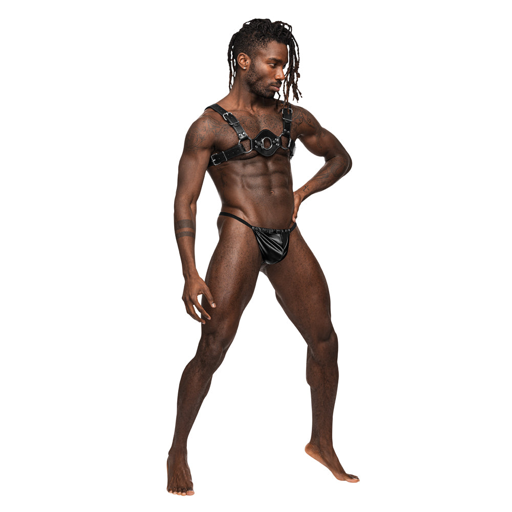 Libra Leather Harness | 845830087179 | Available at EroticWarehouse.com