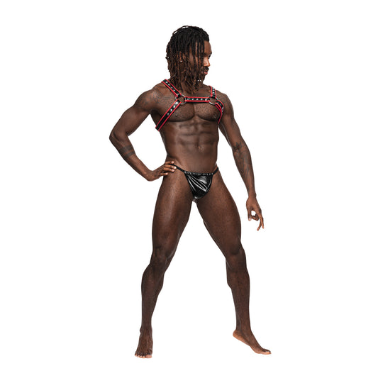 Leo Leather Harness | 845830087186 | Available at EroticWarehouse.com